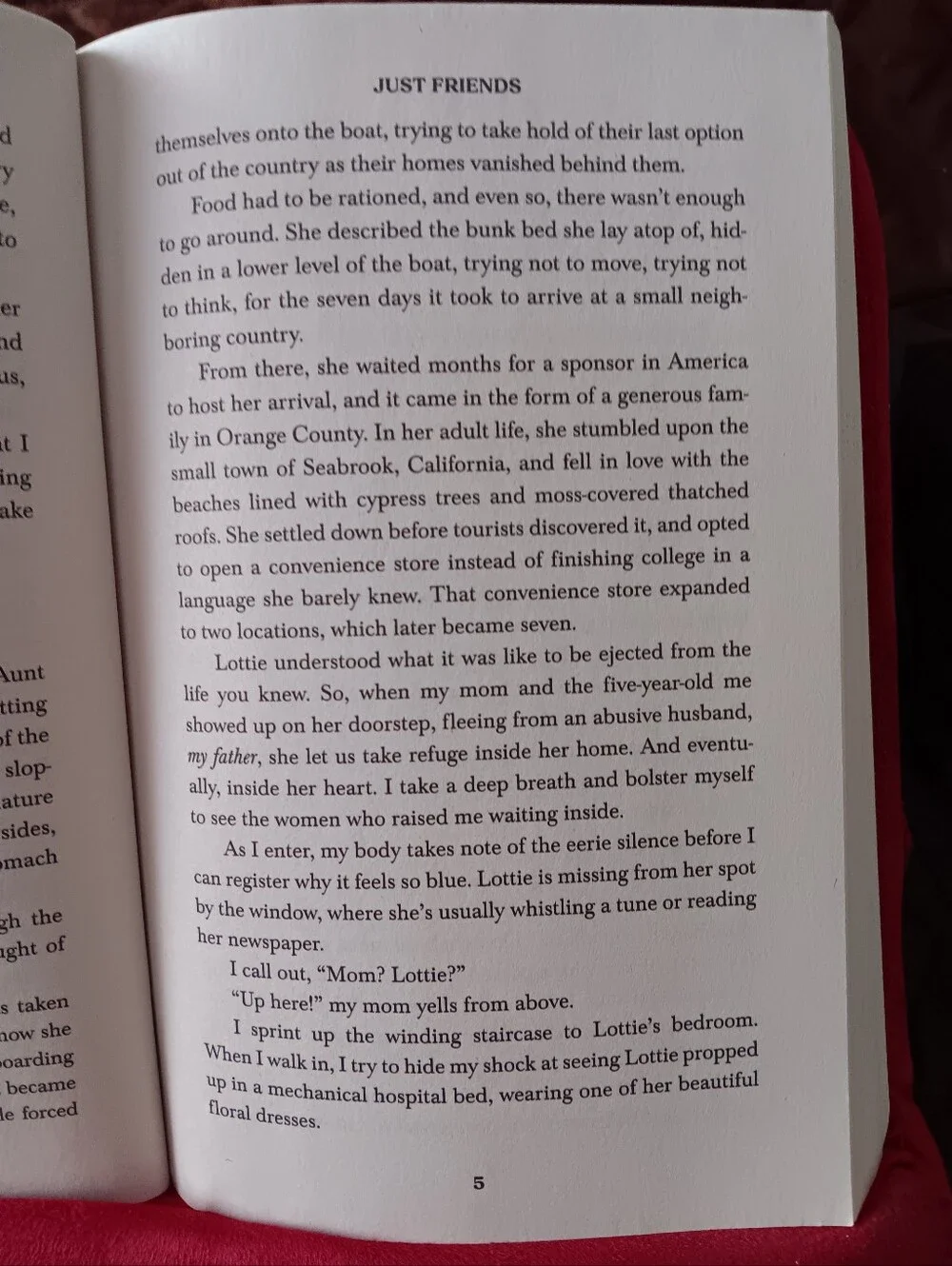 Book: Just Friends